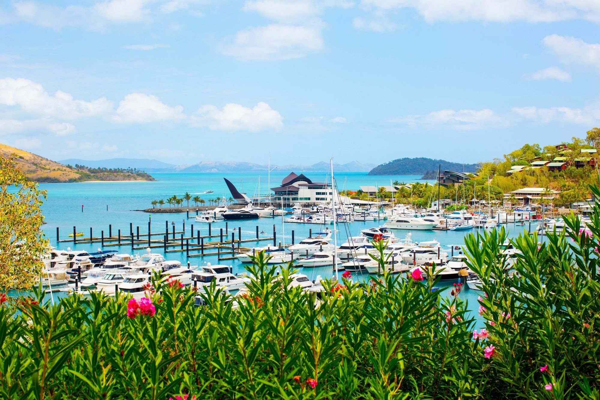 Palm Bungalows Hamilton Island Zewnętrze zdjęcie
