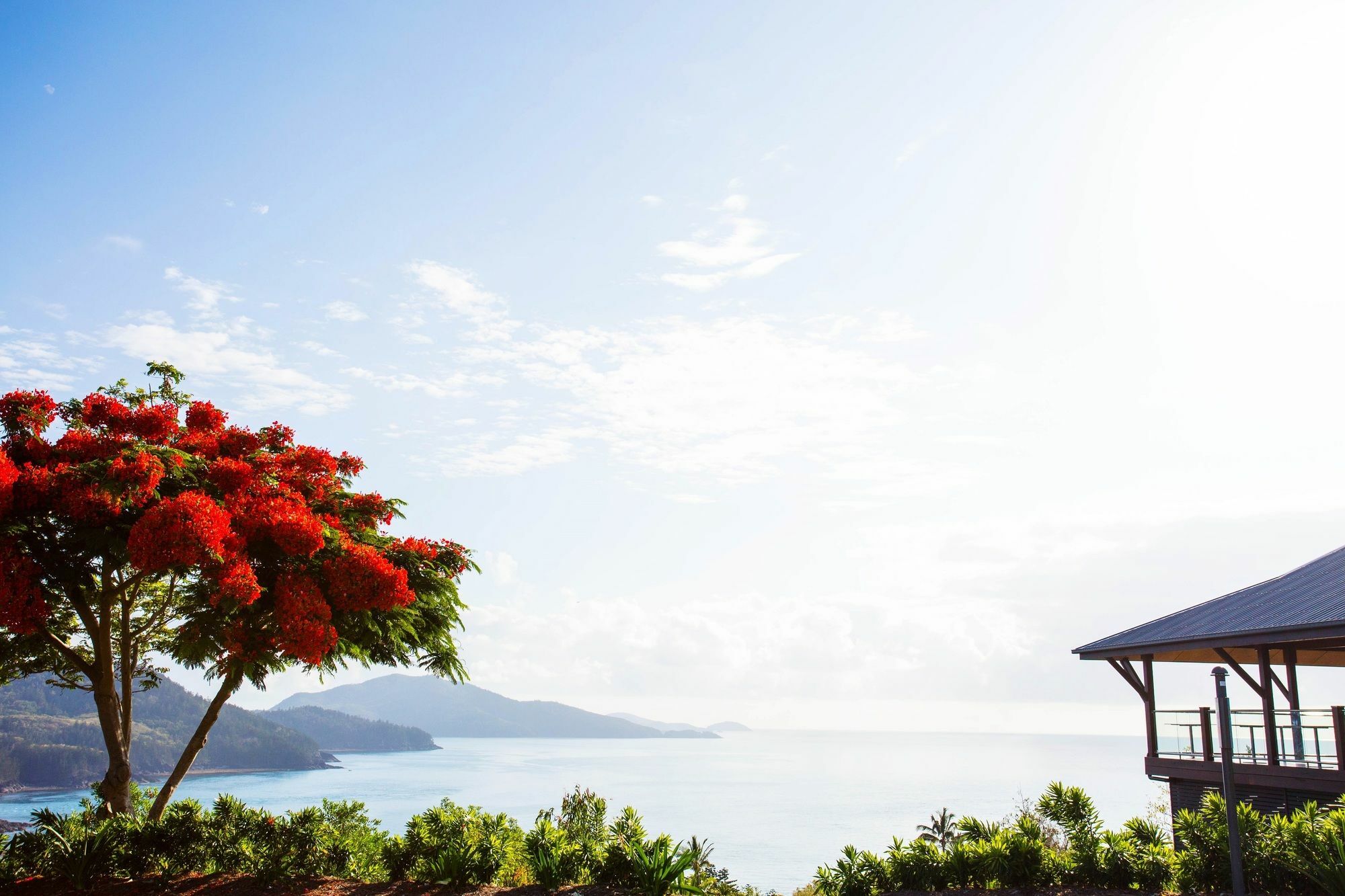 Palm Bungalows Hamilton Island Zewnętrze zdjęcie