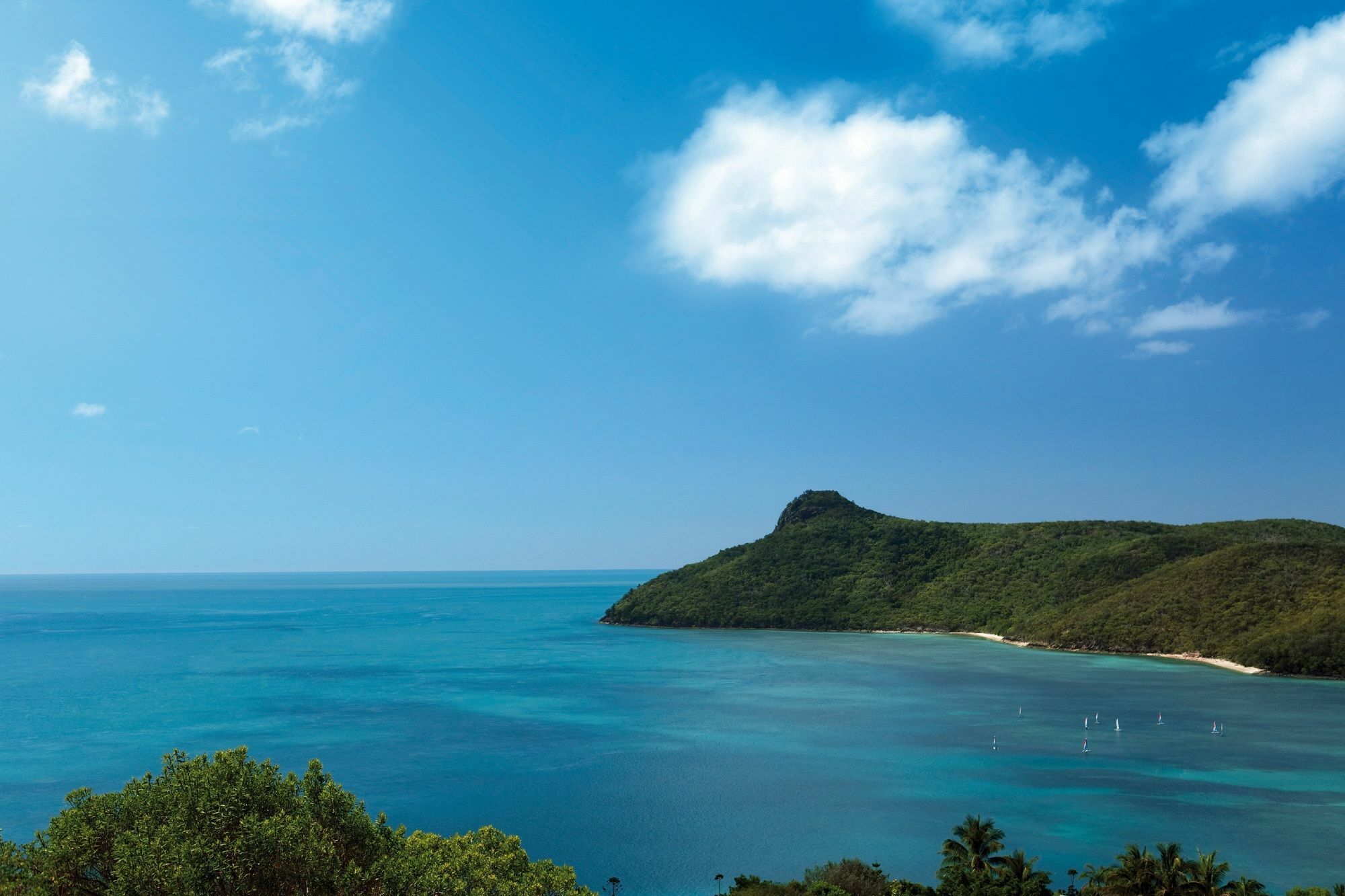 Palm Bungalows Hamilton Island Zewnętrze zdjęcie