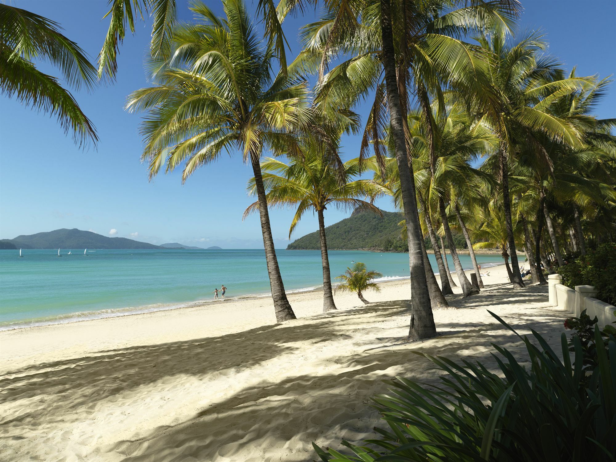 Palm Bungalows Hamilton Island Zewnętrze zdjęcie